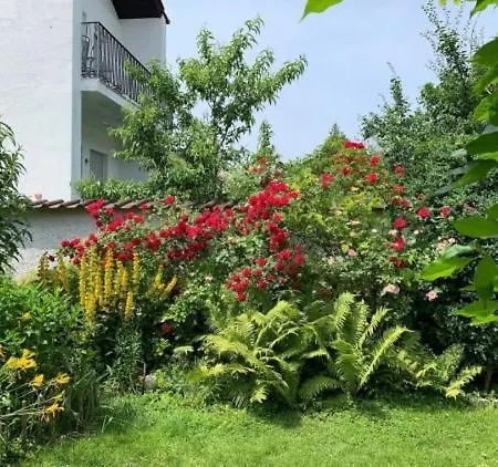 Appartement Watzmannog *